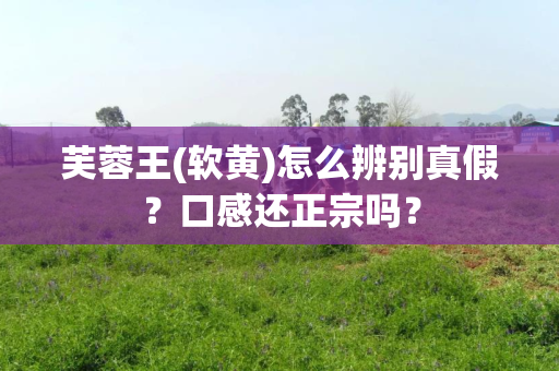 芙蓉王(软黄)怎么辨别真假？口感还正宗吗？