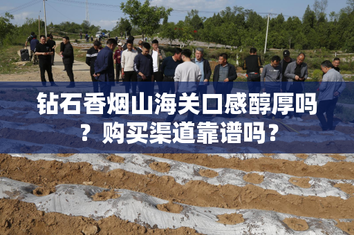 钻石香烟山海关口感醇厚吗？购买渠道靠谱吗？